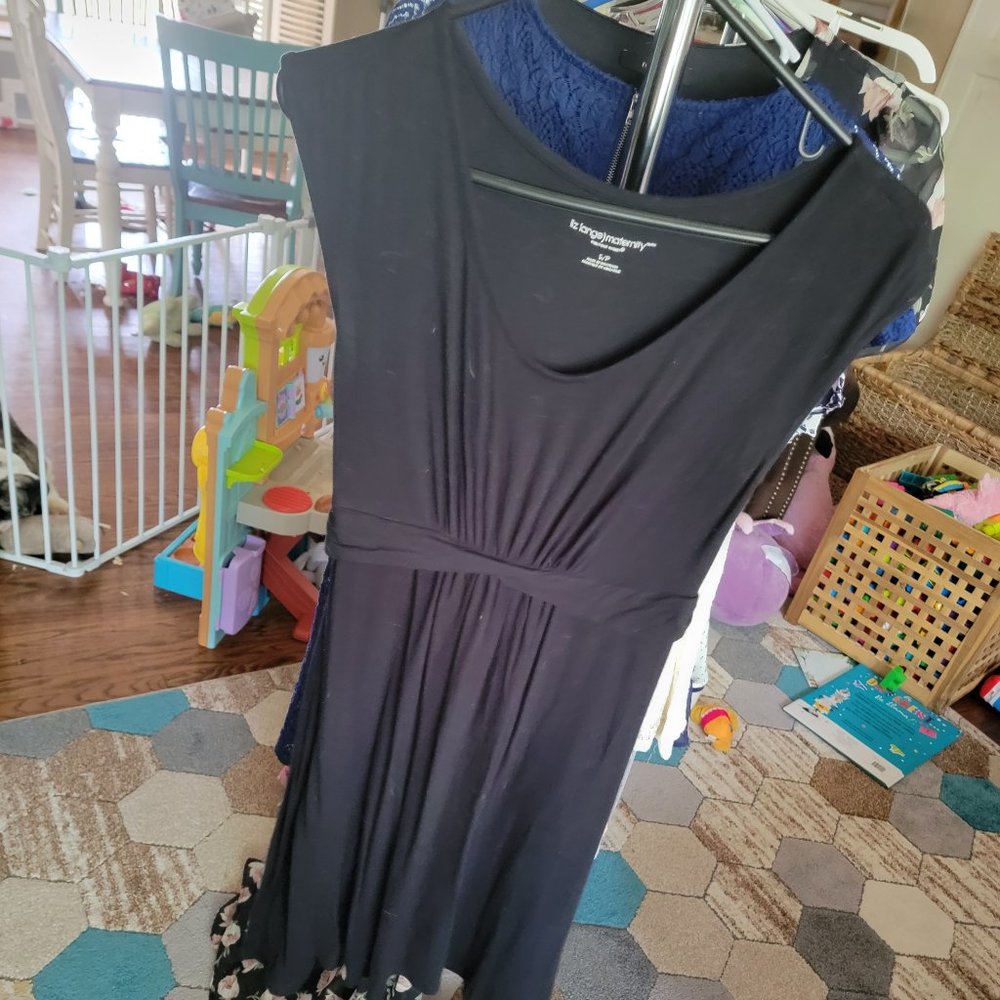 Liz Lange Maternity Dress